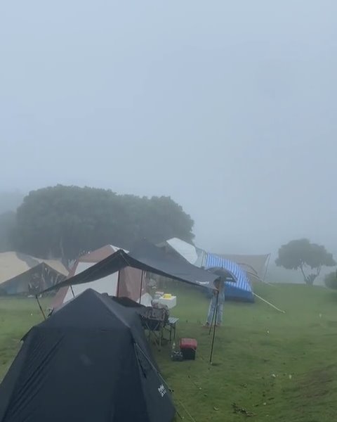 ไร่รวยริน วังน้ำเขียว ประกาศปิดกิจการ ไร่รวยริน วังน้ำเขียว ประกาศปิดกิจการ