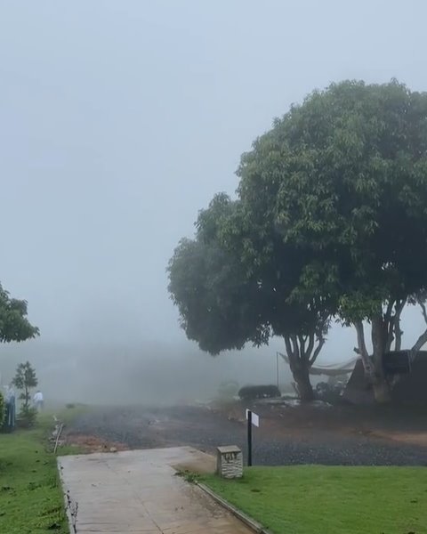 ไร่รวยริน วังน้ำเขียว ประกาศปิดกิจการ ไร่รวยริน วังน้ำเขียว ประกาศปิดกิจการ