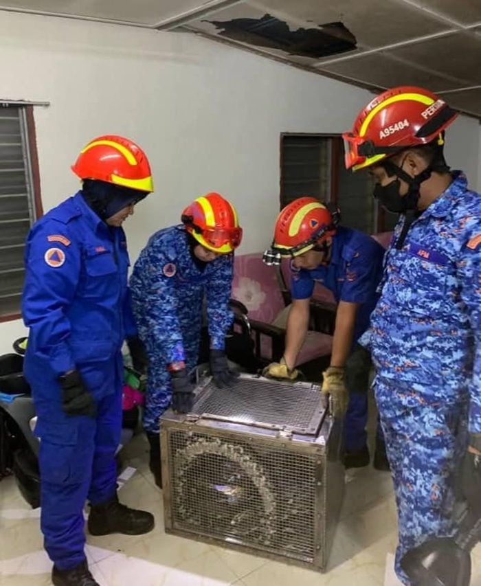 งูเหลือมยักษ์ยาว 5 เมตร ซ่อนใต้ฝ้า เจ้าของบ้านผวา งูเหลือมยักษ์ยาว 5 เมตร ซ่อนใต้ฝ้า เจ้าของบ้านผวา