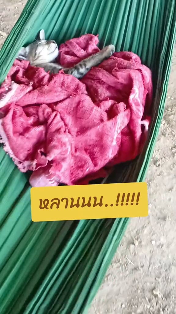 สาวไม่ได้กลับบ้านนาน มาถึงโดนแม่ใช้ไกวเปลหลาน งงมีหลานตอนไหน สาวไม่ได้กลับบ้านนาน มาถึงโดนแม่ใช้ไกวเปลหลาน งงมีหลานตอนไหน