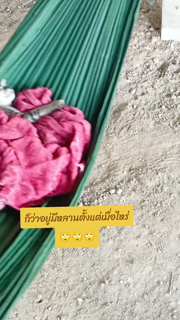 สาวไม่ได้กลับบ้านนาน มาถึงโดนแม่ใช้ไกวเปลหลาน งงมีหลานตอนไหน สาวไม่ได้กลับบ้านนาน มาถึงโดนแม่ใช้ไกวเปลหลาน งงมีหลานตอนไหน