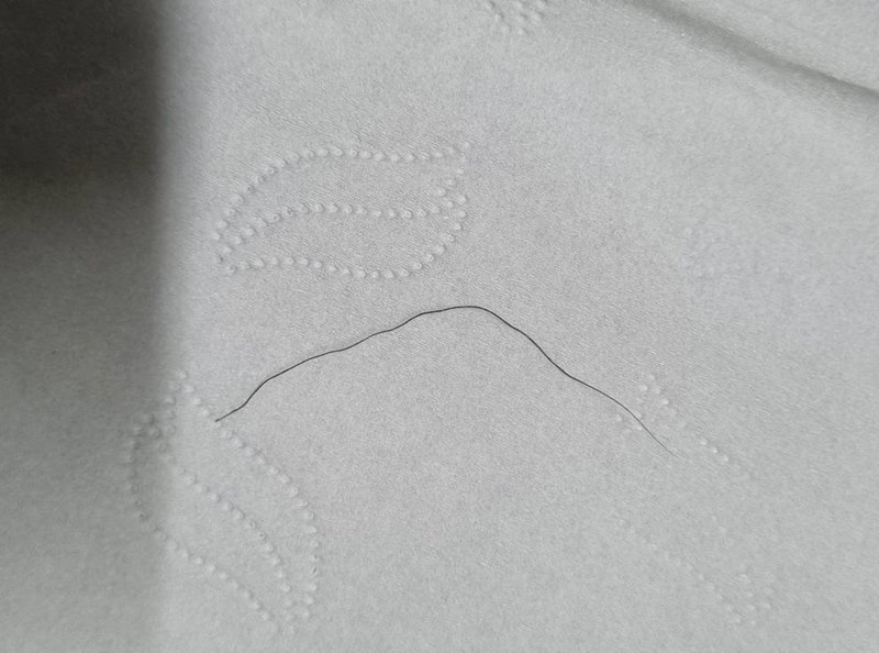 ซื้อส้มตำ รูปลักษณ์สวยงามน่ากิน แต่เขี่ยเจอเส้นขนปริศนา ซื้อส้มตำ รูปลักษณ์สวยงามน่ากิน แต่เขี่ยเจอเส้นขนปริศนา