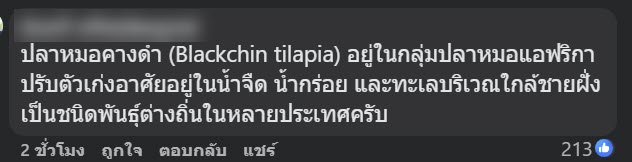 คนโพสต์ถาม ปลาอะไรนอนลอยเกลื่อนชายหาดชะอำ หัวหิน คนโพสต์ถาม ปลาอะไรนอนลอยเกลื่อนชายหาดชะอำ หัวหิน