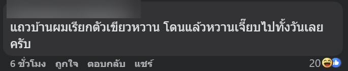 เจอแมลงปริศนาเกาะใบกุหลาบ คือตัวอะไร คนแห่เมนต์เตือน เจอแมลงปริศนาเกาะใบกุหลาบ คือตัวอะไร คนแห่เมนต์เตือน
