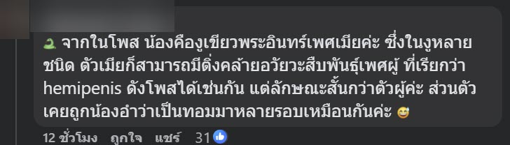 เจองูปริศนา พอจับขึ้นมาถึงกับสะดุดตา ติ่งใต้ท้องส่วนนี้คืออะไร เจองูปริศนา พอจับขึ้นมาถึงกับสะดุดตา ติ่งใต้ท้องส่วนนี้คืออะไร