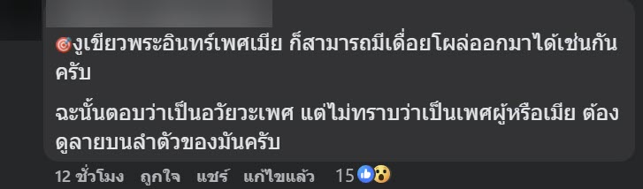 เจองูปริศนา พอจับขึ้นมาถึงกับสะดุดตา ติ่งใต้ท้องส่วนนี้คืออะไร เจองูปริศนา พอจับขึ้นมาถึงกับสะดุดตา ติ่งใต้ท้องส่วนนี้คืออะไร