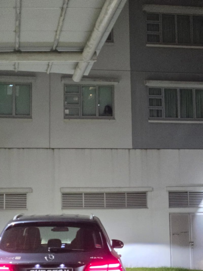 หลอน เงาดำบนหน้าต่าง ไร้หน้า ไรเดอร์เห็นถึงกับบอกให้หนี หลอน เงาดำบนหน้าต่าง ไร้หน้า ไรเดอร์เห็นถึงกับบอกให้หนี