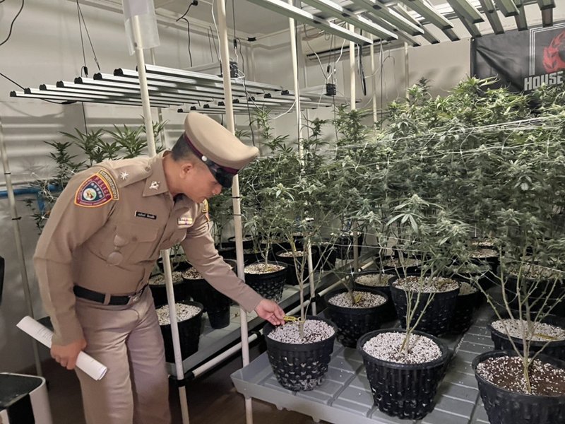 ทลายแหล่งผลิต เยลลี่-คุกกี้ กัญชา ผงะเปลี่ยนส้วมเป็นห้องผสมสูตร ทลายแหล่งผลิต เยลลี่-คุกกี้ กัญชา ผงะเปลี่ยนส้วมเป็นห้องผสมสูตร