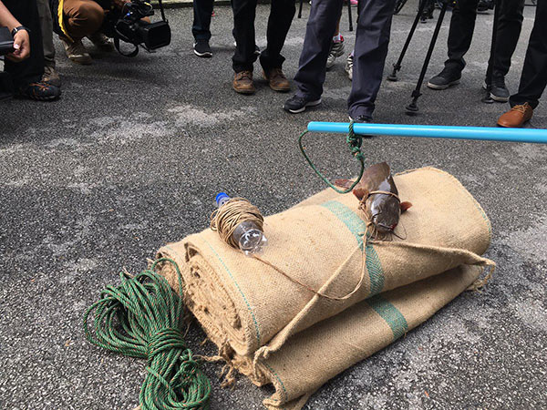 คึกคัก ! ปฏิบัติการจับตัวเงินตัวทองในสวนลุม สื่อไทย-ต่างชาติแห่ทำข่าวตรึม คึกคัก ! ปฏิบัติการจับตัวเงินตัวทองในสวนลุม สื่อไทย-ต่างชาติแห่ทำข่าวตรึม