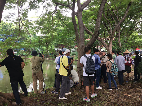 คึกคัก ! ปฏิบัติการจับตัวเงินตัวทองในสวนลุม สื่อไทย-ต่างชาติแห่ทำข่าวตรึม คึกคัก ! ปฏิบัติการจับตัวเงินตัวทองในสวนลุม สื่อไทย-ต่างชาติแห่ทำข่าวตรึม