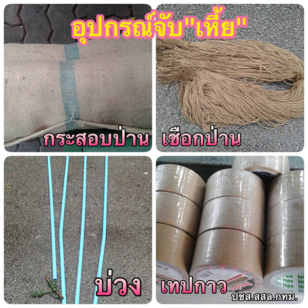 คึกคัก ! ปฏิบัติการจับตัวเงินตัวทองในสวนลุม สื่อไทย-ต่างชาติแห่ทำข่าวตรึม คึกคัก ! ปฏิบัติการจับตัวเงินตัวทองในสวนลุม สื่อไทย-ต่างชาติแห่ทำข่าวตรึม