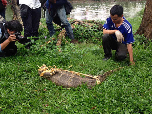 คึกคัก ! ปฏิบัติการจับตัวเงินตัวทองในสวนลุม สื่อไทย-ต่างชาติแห่ทำข่าวตรึม คึกคัก ! ปฏิบัติการจับตัวเงินตัวทองในสวนลุม สื่อไทย-ต่างชาติแห่ทำข่าวตรึม