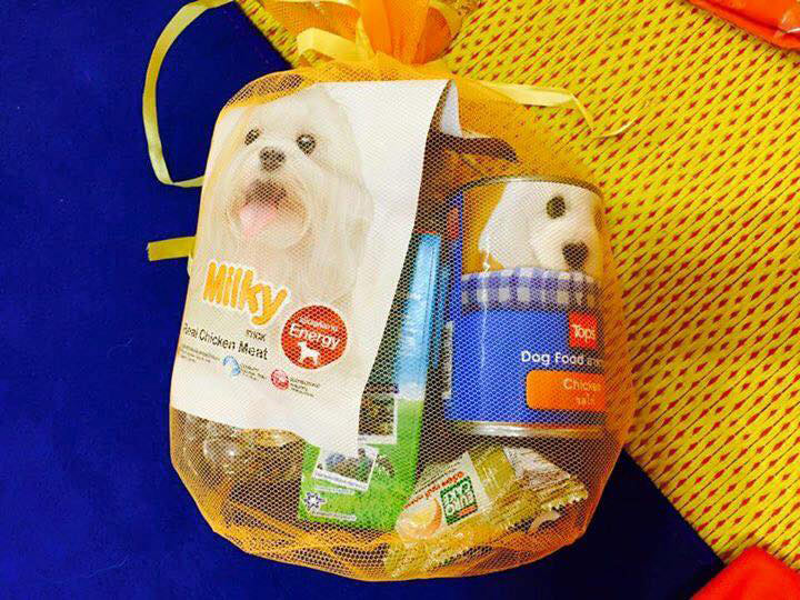 พระมหาไพรวัลย์ ติงคนถวายสังฆทานอาหารหมา บอกให้ทำบุญกับสถานรับเลี้ยงดีกว่า พระมหาไพรวัลย์ ติงคนถวายสังฆทานอาหารหมา บอกให้ทำบุญกับสถานรับเลี้ยงดีกว่า