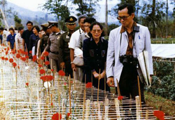 ข่าวในหลวง ข่าวในหลวง