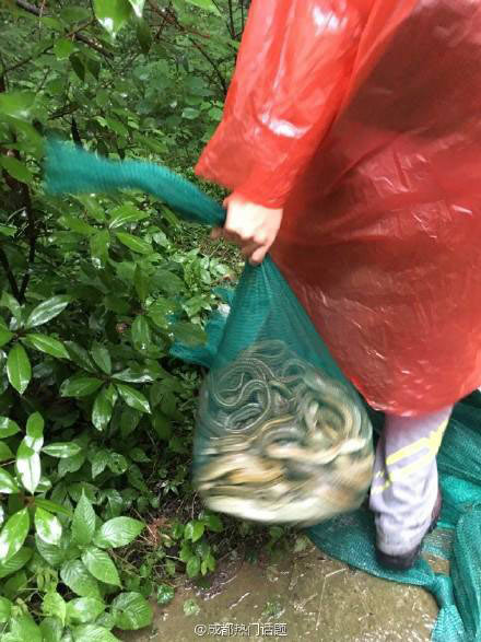 ทำบุญหรือทำบาป !! หญิงซื้องูกว่า 900 ตัวไปปล่อยป่า เจอชาวเน็ตรุมจวกยับ ทำบุญหรือทำบาป !! หญิงซื้องูกว่า 900 ตัวไปปล่อยป่า เจอชาวเน็ตรุมจวกยับ