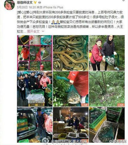 ทำบุญหรือทำบาป !! หญิงซื้องูกว่า 900 ตัวไปปล่อยป่า เจอชาวเน็ตรุมจวกยับ ทำบุญหรือทำบาป !! หญิงซื้องูกว่า 900 ตัวไปปล่อยป่า เจอชาวเน็ตรุมจวกยับ