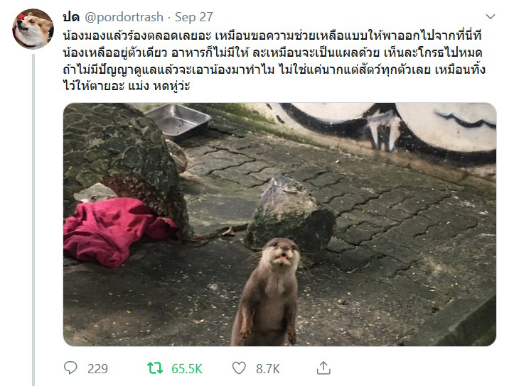 นาก นาก