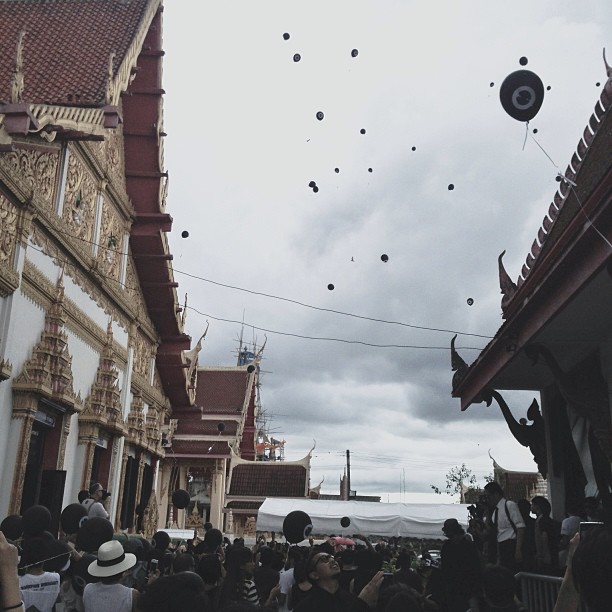 ตั้ม พฤษ์พล มุกดาสนิท ตั้ม พฤษ์พล มุกดาสนิท