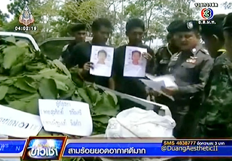 ใบกระท่อม ใบกระท่อม