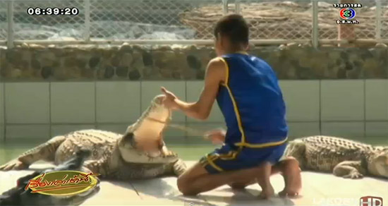 ฟาร์มจระเข้แม่ริม ฟาร์มจระเข้แม่ริม