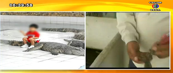 ฟาร์มจระเข้แม่ริม ฟาร์มจระเข้แม่ริม