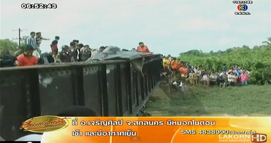 รถไฟชน รถไฟชน