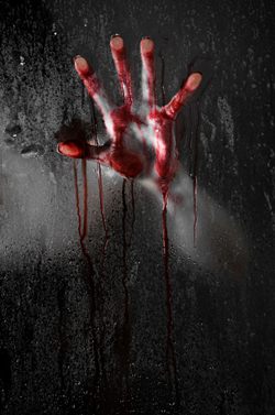 ข่าวอาชญากรรม