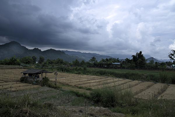 พายุฤดูร้อน พายุฤดูร้อน