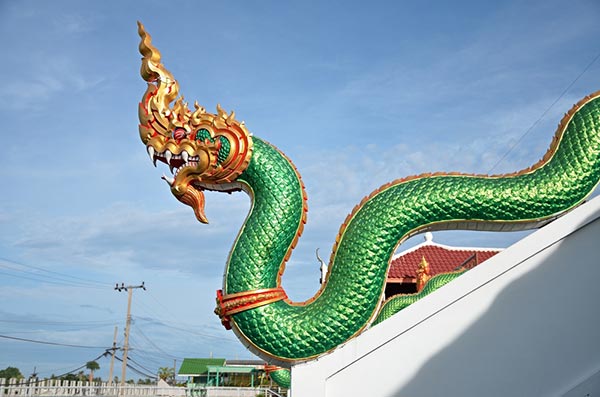 พญานาค พญานาค
