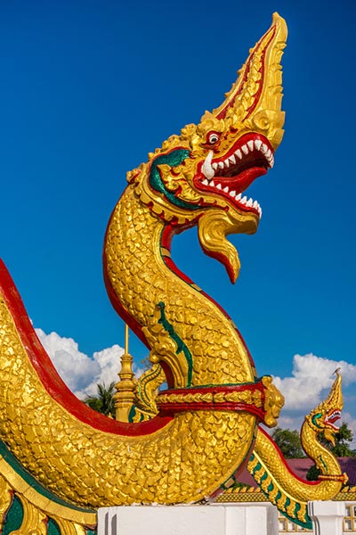 พญานาค พญานาค