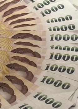 เงินเดือนข้าราชการ