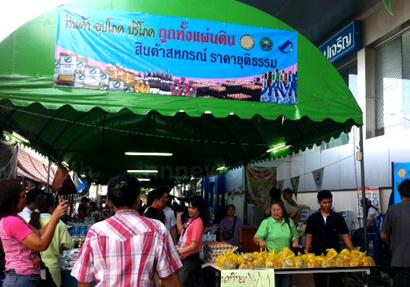 ถูกทั้งแผ่นดิน