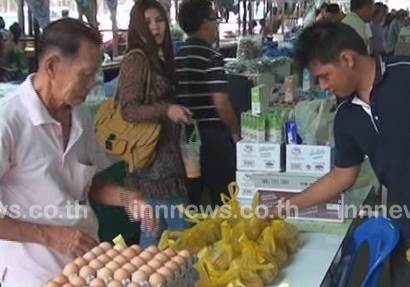 ถูกทั้งแผ่นดิน