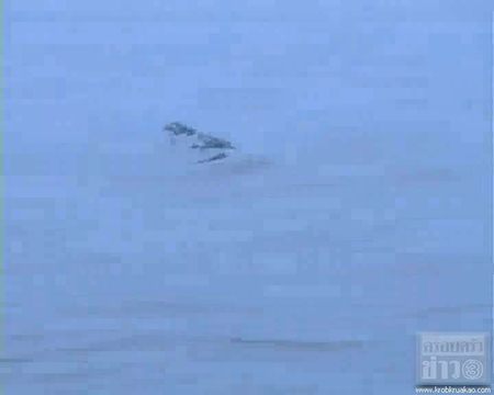 พญานาคหนองหาร