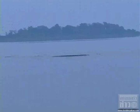 พญานาคหนองหาร