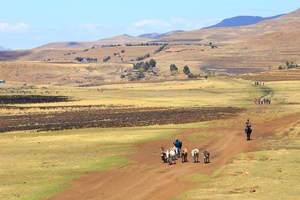 เลโซโท เลโซโท