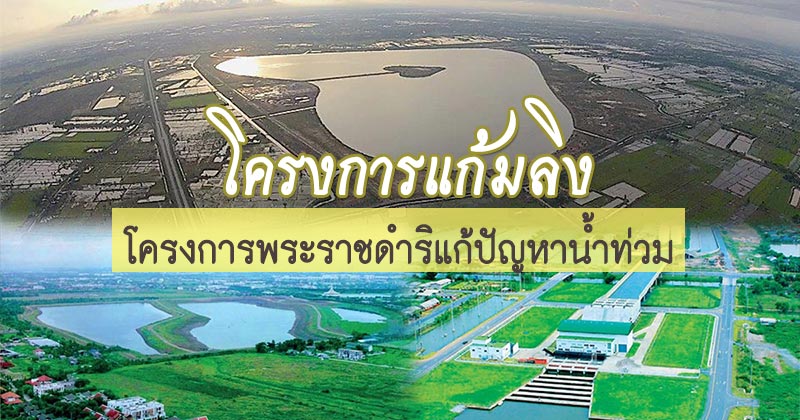 โครงการแก้มลิง โครงการแก้มลิง