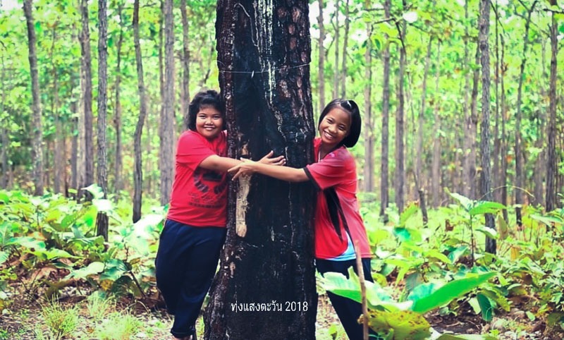 ป่าชุมชน ป่าชุมชน