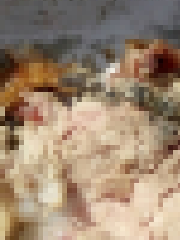 หมูหันหนอนไช หมูหันหนอนไช