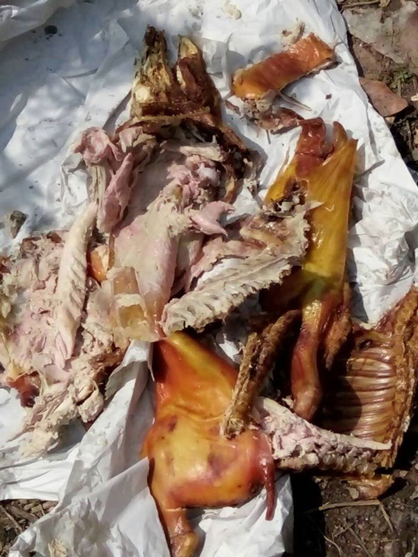 หมูหันหนอนไช หมูหันหนอนไช