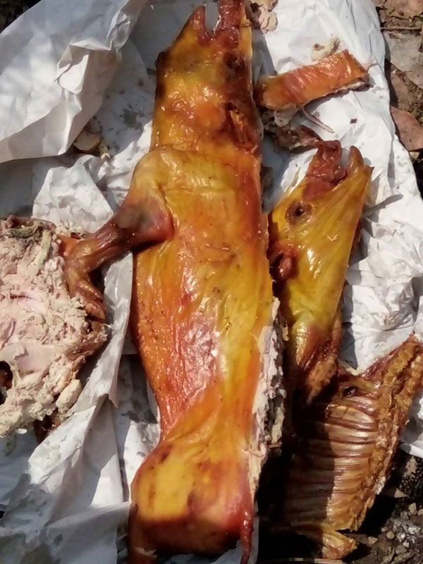 หมูหันหนอนไช หมูหันหนอนไช