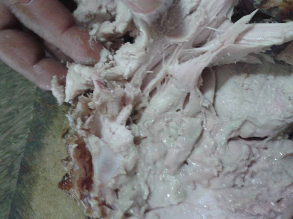 หมูหันหนอนไช หมูหันหนอนไช