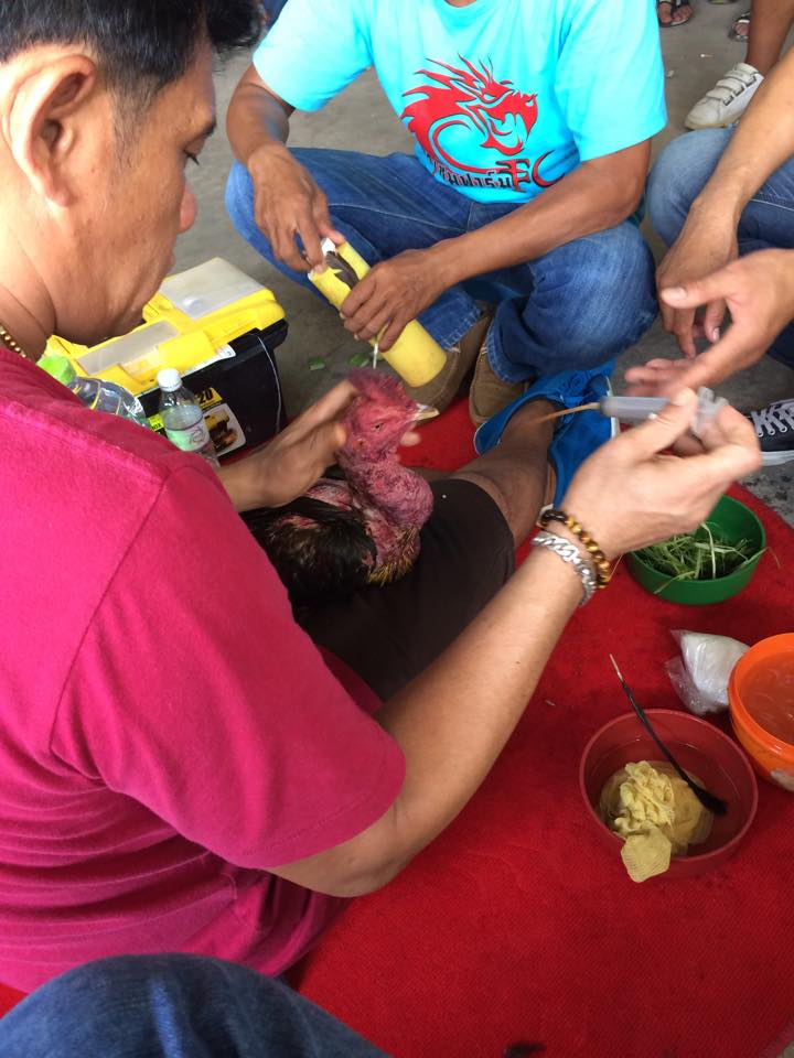 โกวเซ้มฟาร์ม โกวเซ้มฟาร์ม