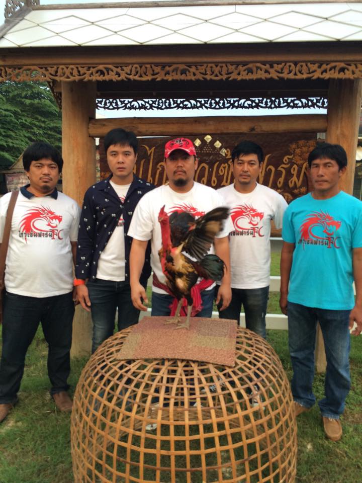 โกวเซ้มฟาร์ม โกวเซ้มฟาร์ม