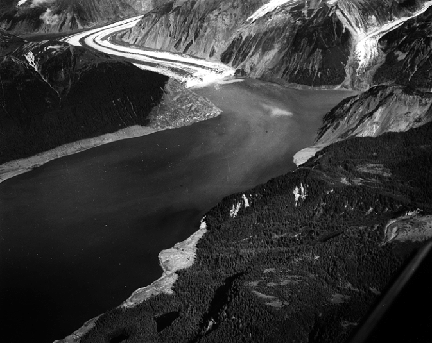 สึนามี สึนามี