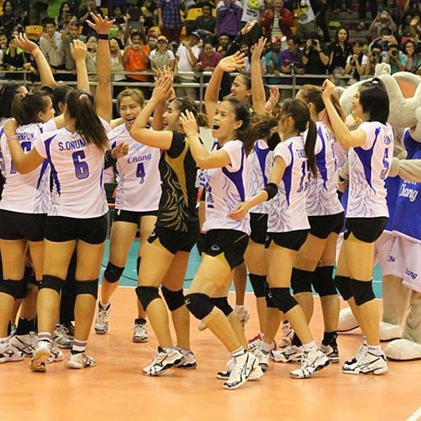 วอลเลย์บอล วอลเลย์บอล