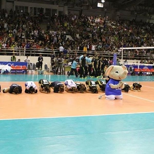 วอลเลย์บอล วอลเลย์บอล