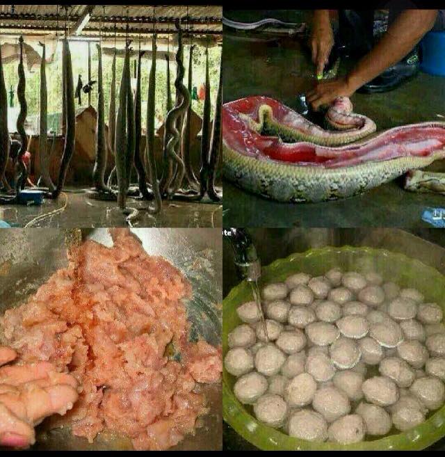 ลูกชิ้นเนื้องู