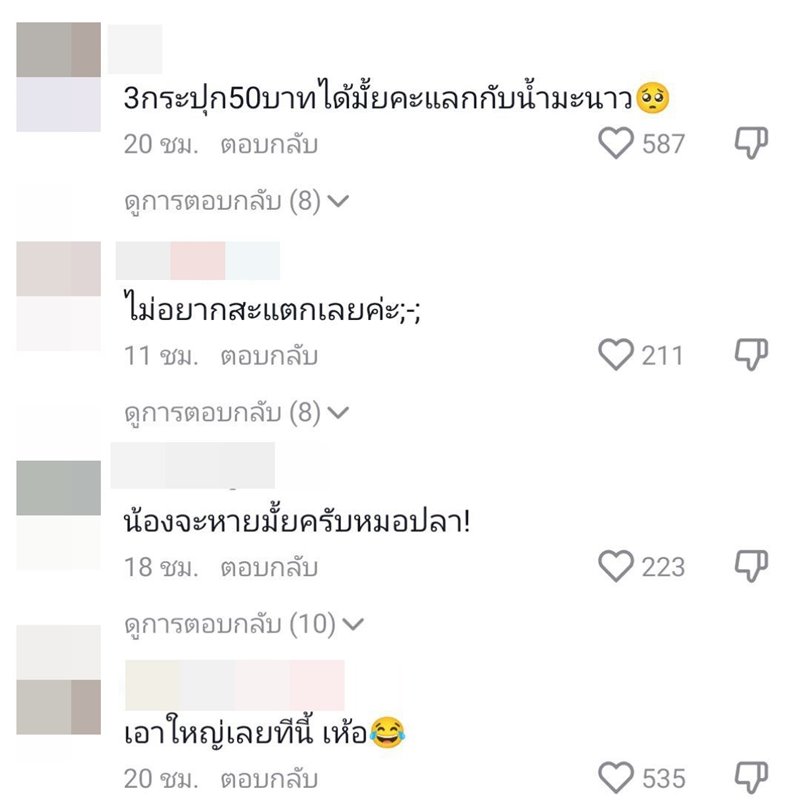 โอลีฟ โตเกียวโนบรา โอลีฟ โตเกียวโนบรา