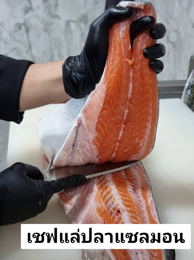 แซลมอน VS เทราส์ เชฟทำการแล่ปลาแซลมอน